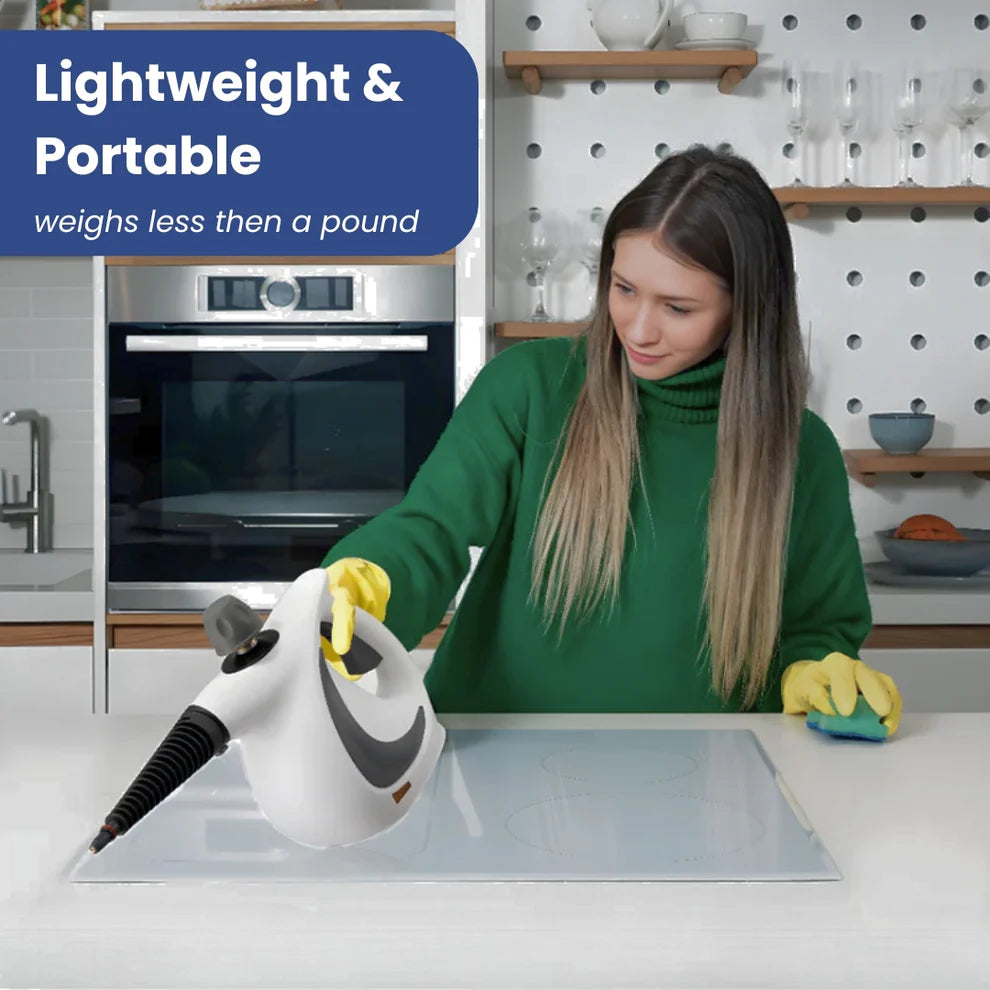 Handheld Steam Cleaner