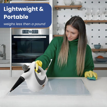 Handheld Steam Cleaner